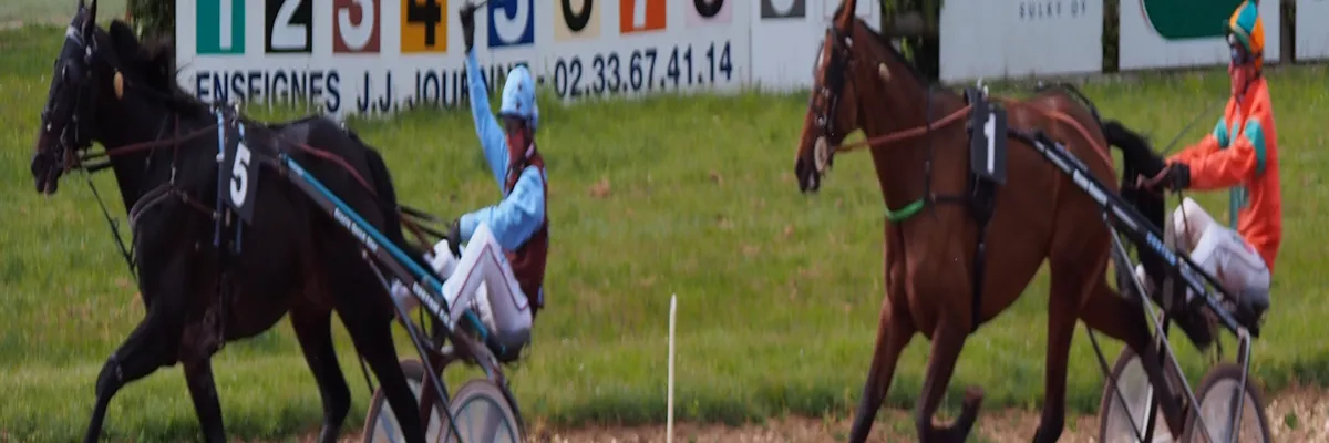 Image Installateur borne de recharge Argentan