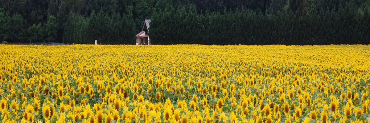 image-installateur-borne-de-recharge-centre-val-de-loire.webp Image Installateur borne de recharge Centre-Val de Loire