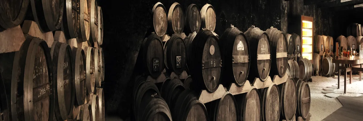 Image Installateur borne de recharge Cognac