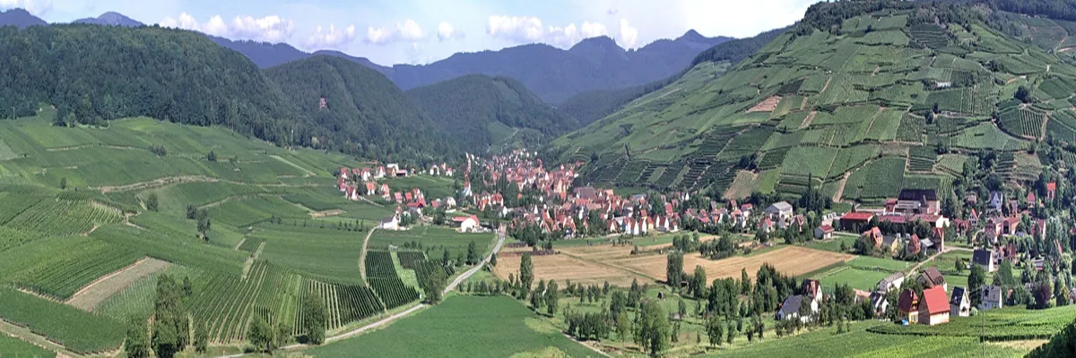 Image Installateur borne de recharge Grand Est