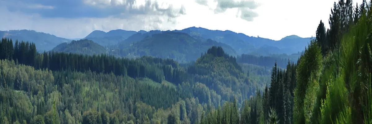 Image Installateur borne de recharge Haute-Vienne