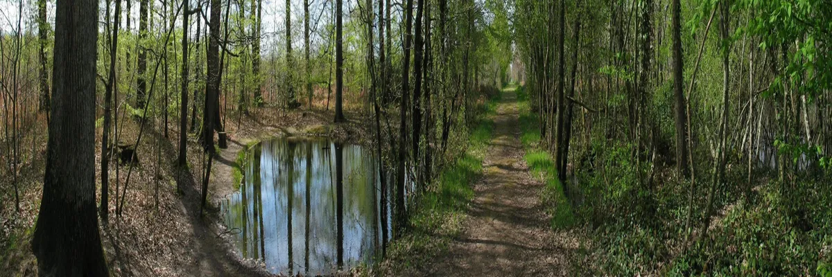 Image Installateur borne de recharge Indre