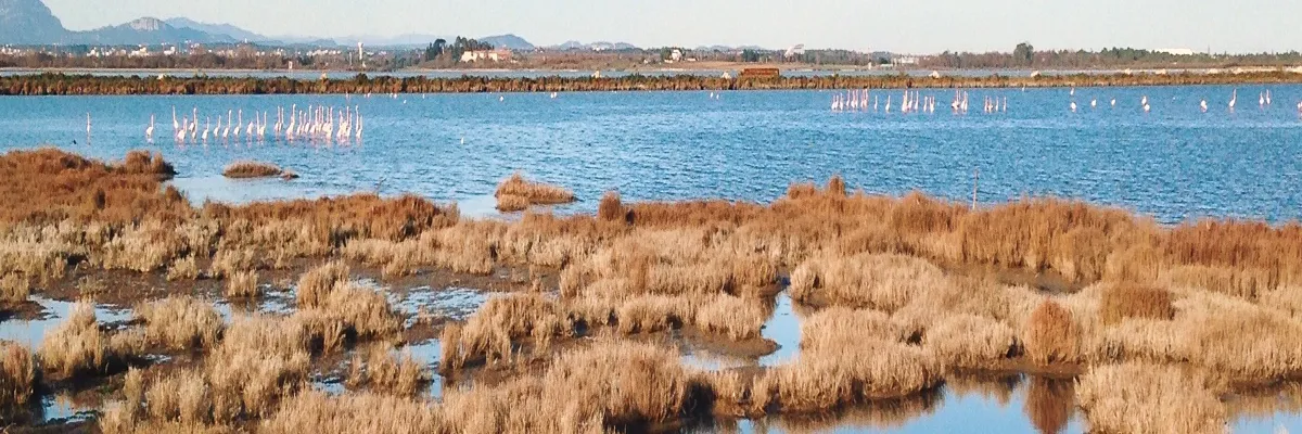 Image Installateur borne de recharge Lattes