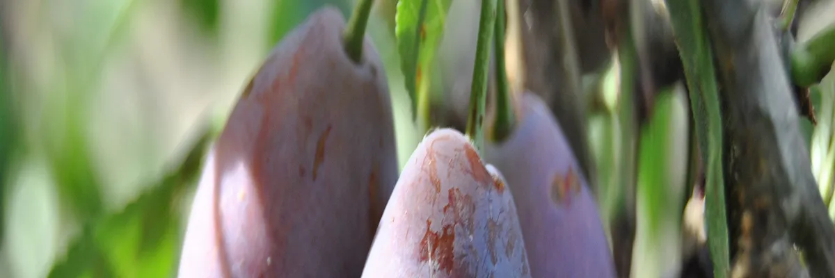 Image Installateur borne de recharge Lot-et-Garonne