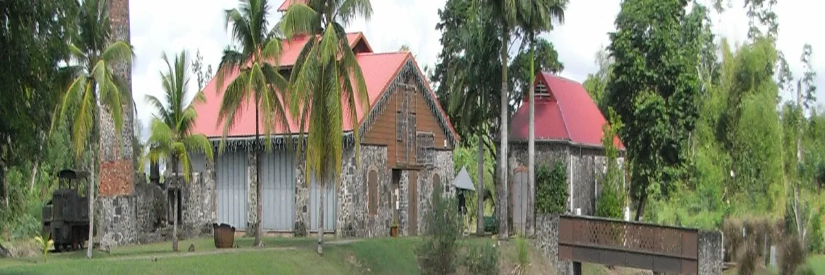 Image Installateur borne de recharge Martinique