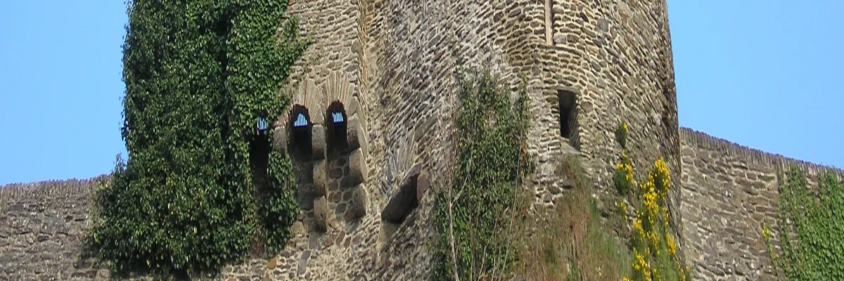 Image Installateur borne de recharge Saint-Lô