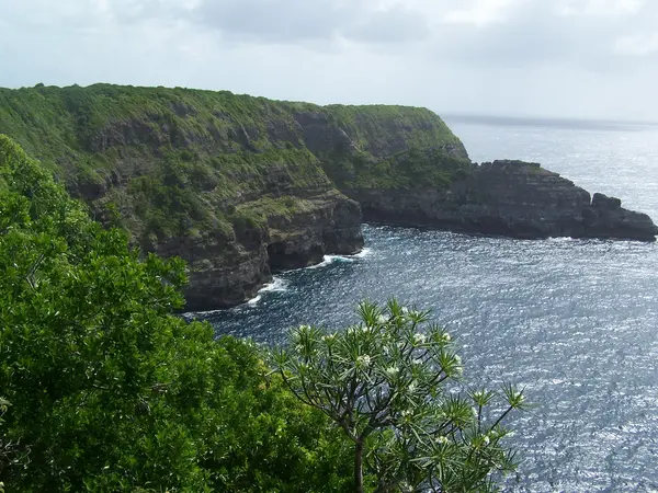 Borne de Recharge EV Installateur borne de recharge Guadeloupe