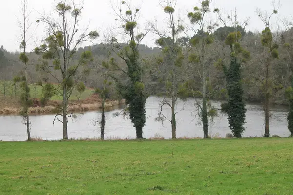 Borne de Recharge EV Installateur borne de recharge Muzillac