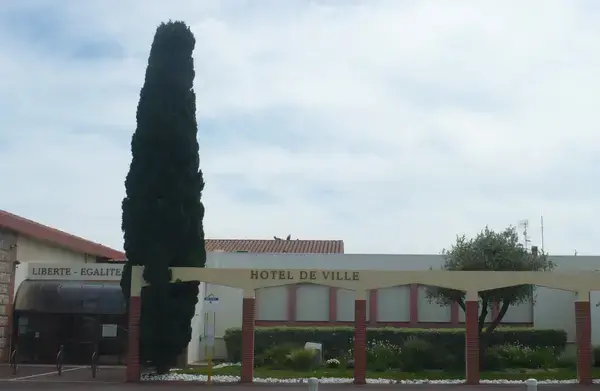 Borne de Recharge EV Installateur borne de recharge Saleilles